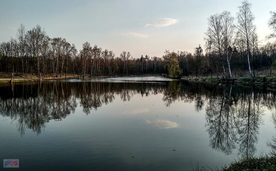 Staw Janina