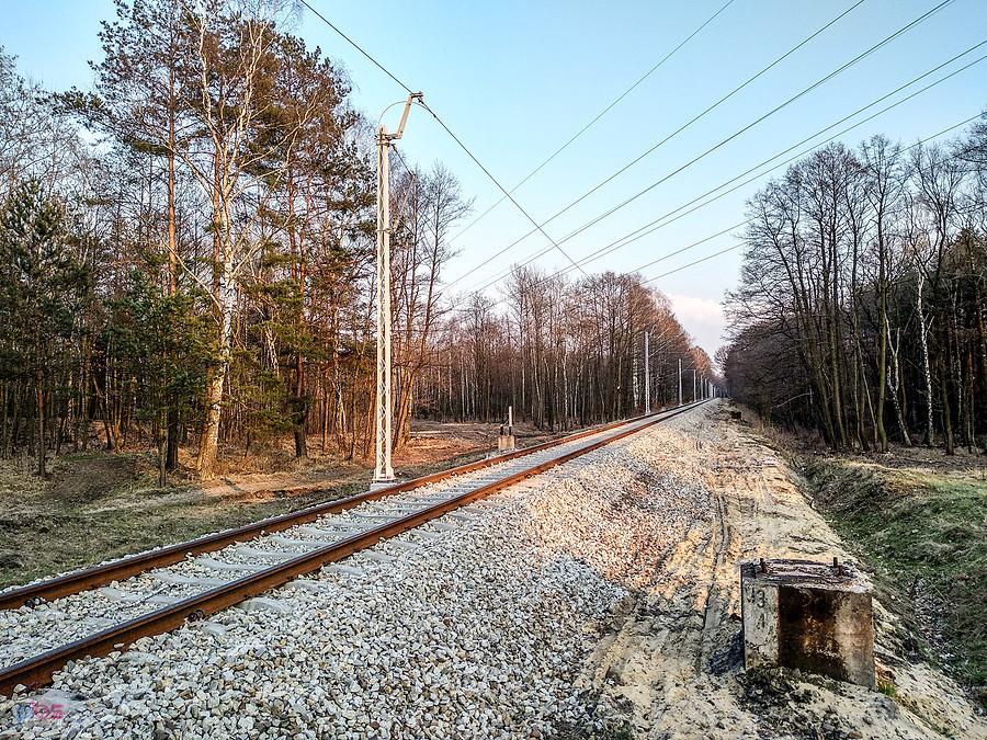 Wyremontowane torowisko w lesie Ochojeckim