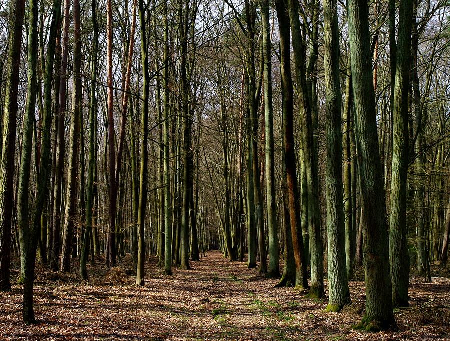 U siebie - WPN