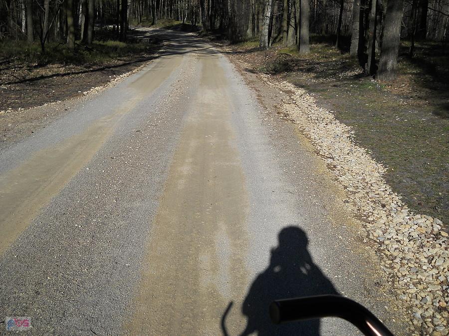 kolejna utwardzona ścieżka w lesie