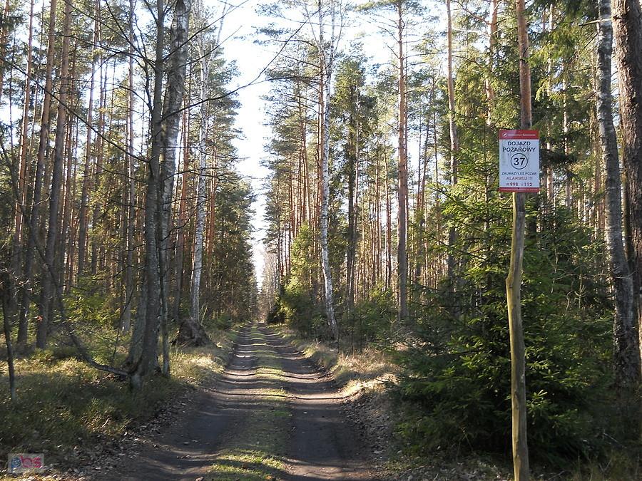 dojazd pożarowy nr 37
