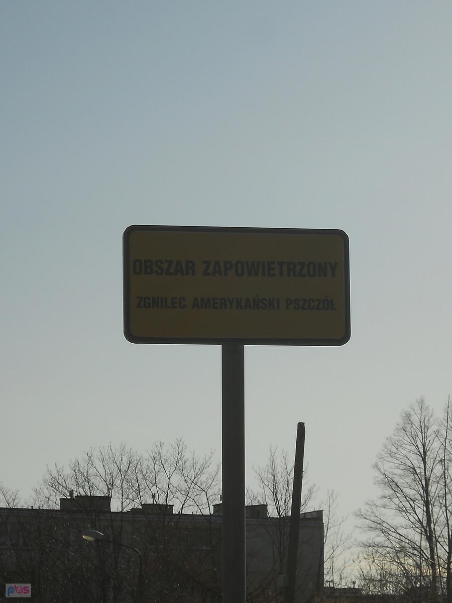 ratujmy pszczoły