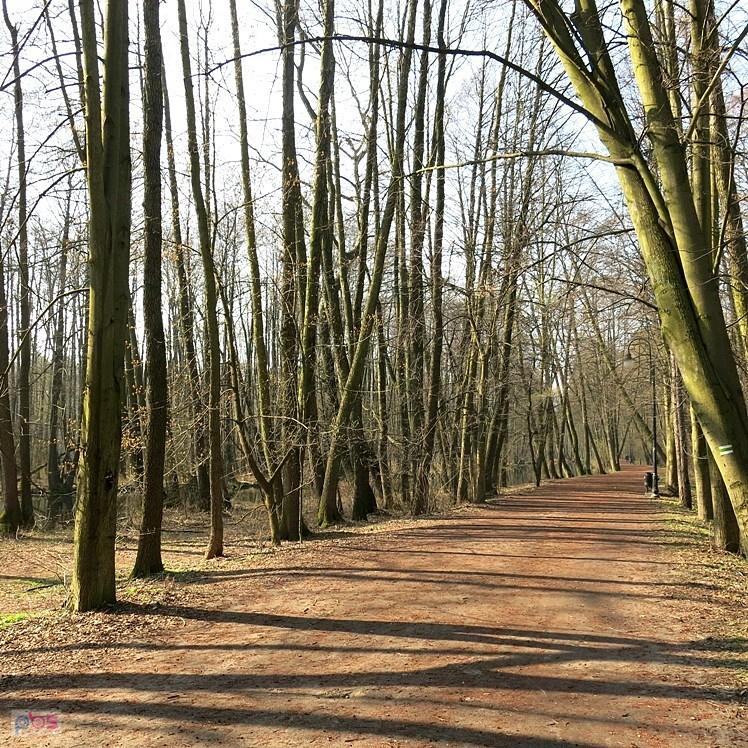 Porankiem na Niebieskich Źródłach