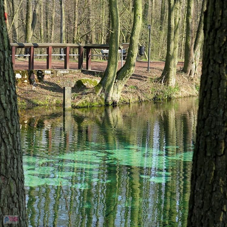 Niebieskie Źródła o poranku
