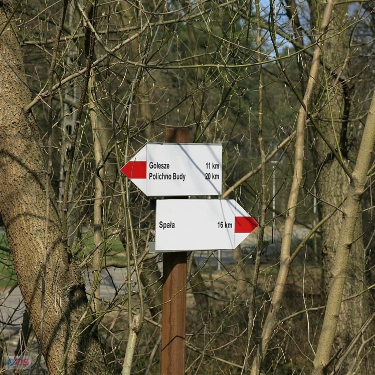 Za to jadę tędy