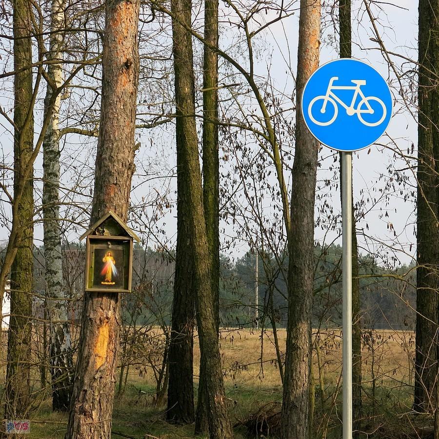 Tu się zaczyna nowa droga dla rowerów
