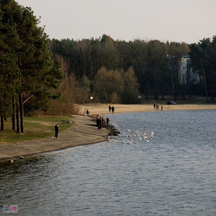 Nad Zalewem Sulejowskim