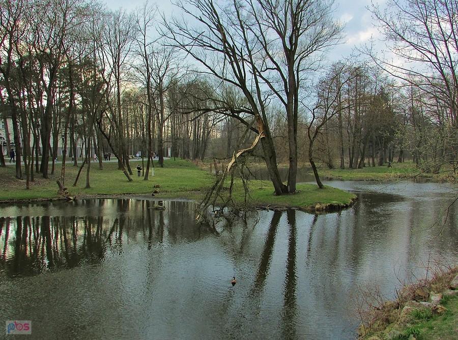 Jeziorka z mostku przy tężni