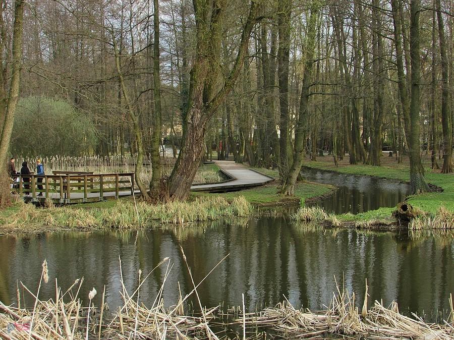 Jeziorka i kładka na rozlewisku