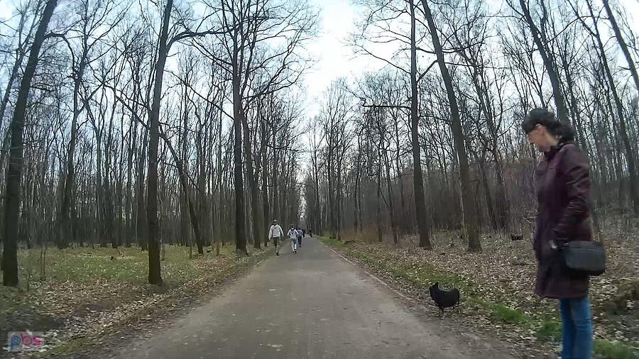 Sporo ludzi w parku