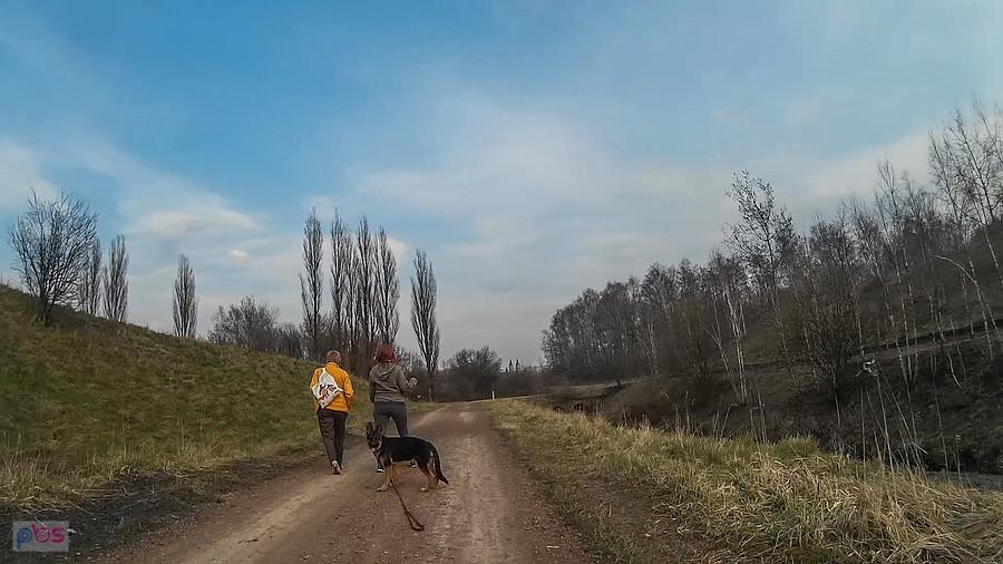Chwilę później pies wpadł mi pod koła....