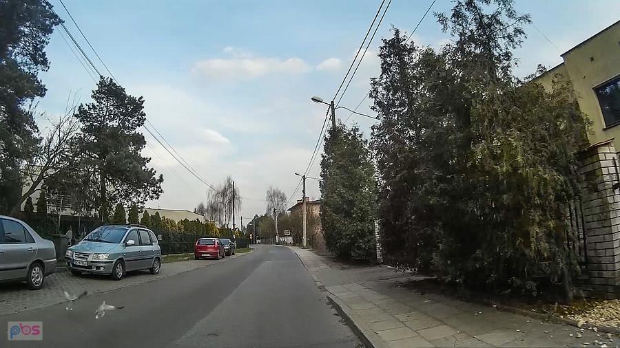2 gołębie :)