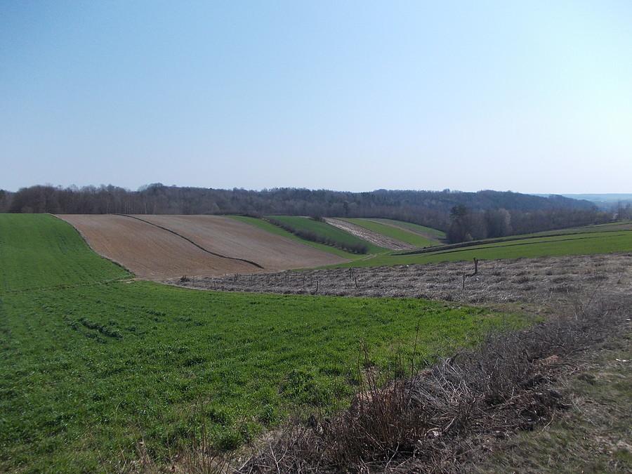 Lubelskie hopki