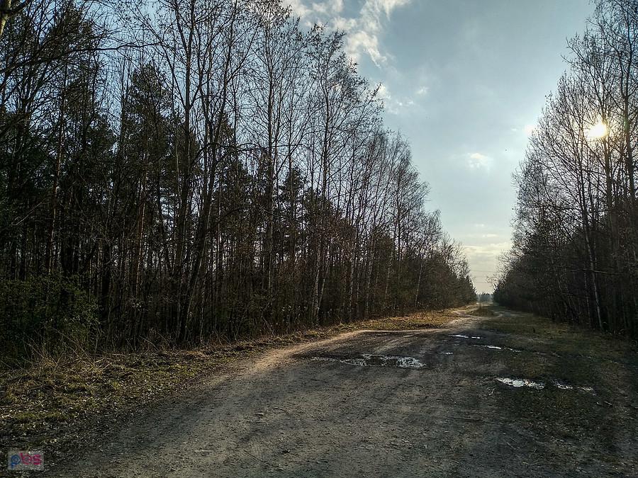 Droga na hałdę na granicy Zabrza i Rudy Śląskiej