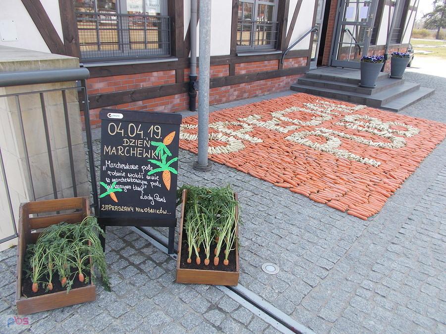 Dzień Marchewki
