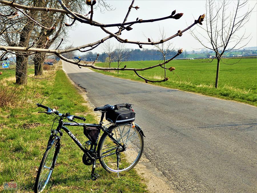 Wiosna na rowerze - po Kociewiu.