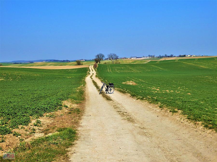 Wiosna na rowerze - po Kociewiu.