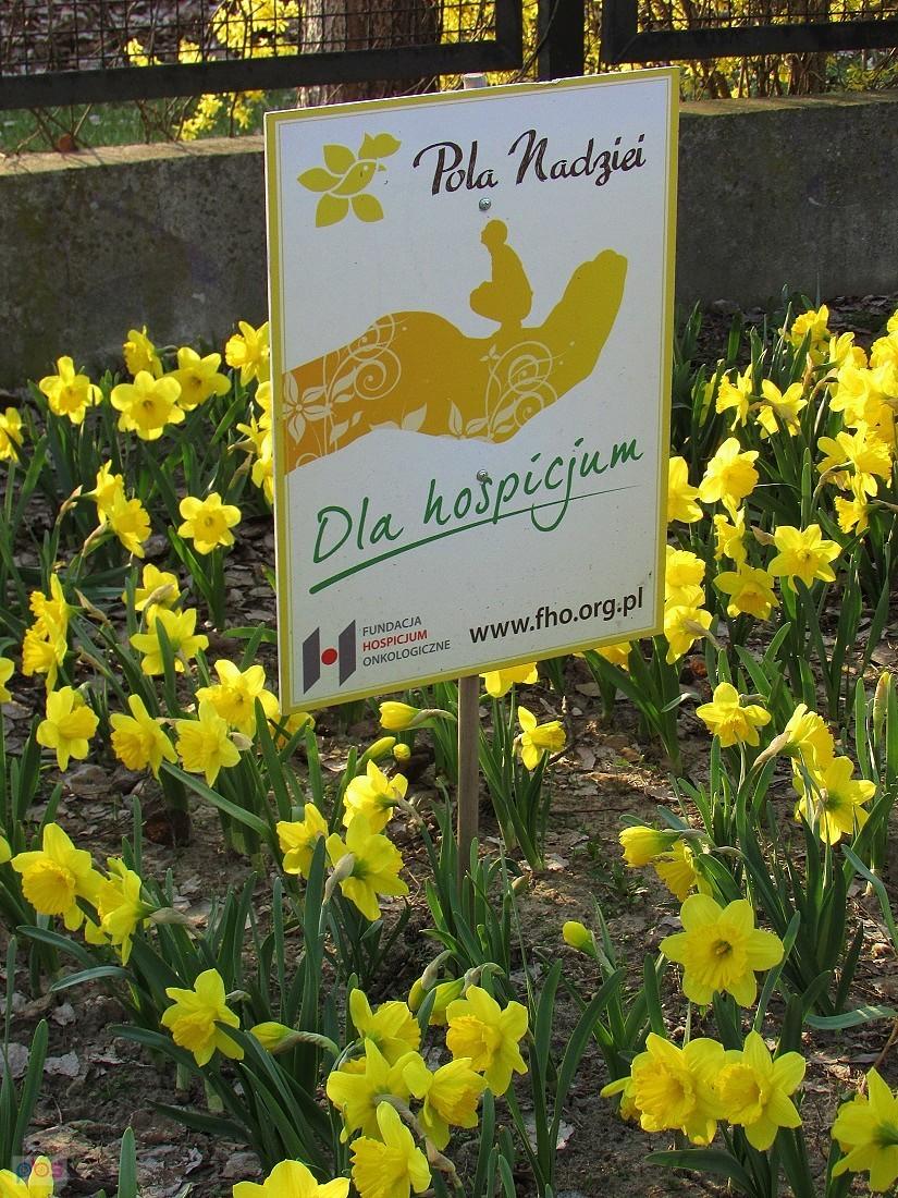 Pola Nadziei - fundusze dla hospicjum