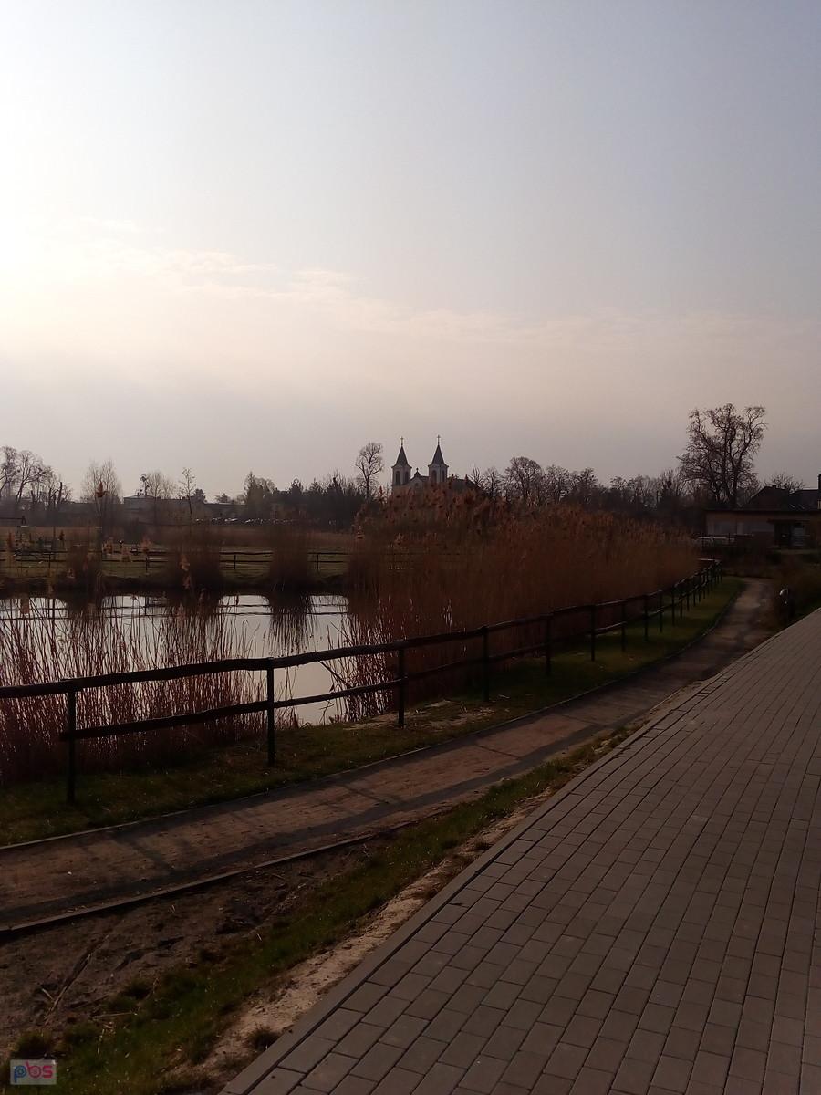 Staw w Borzęcinie