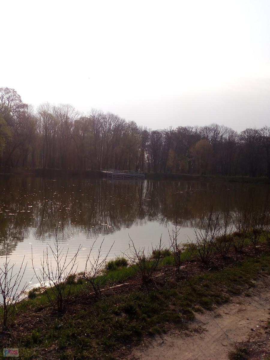 Staw w Ołtarzewie