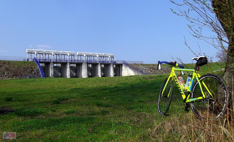 Polder Buków