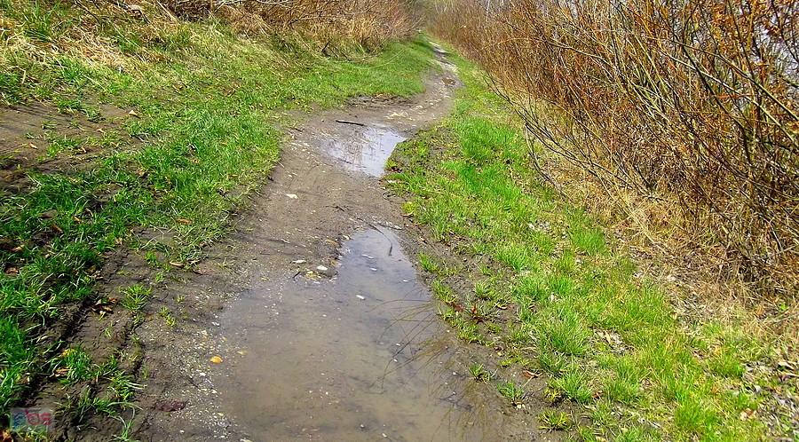 Hlučín. Przypomniałem sobie że wczoraj padał deszcz, same kałuże.
