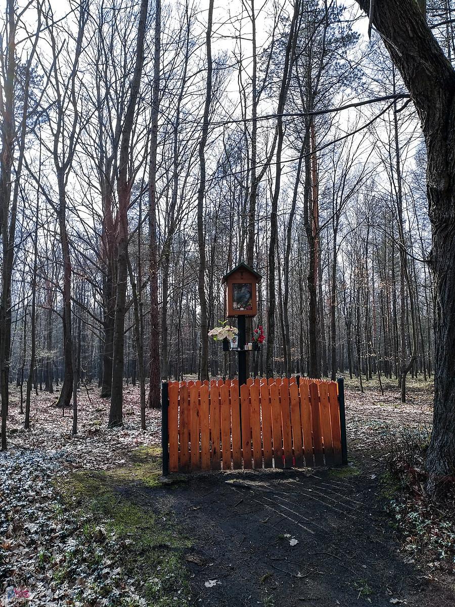 Kapliczka w okolicy Hamerli