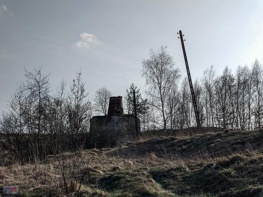 Wapiennik w Mysłowicach - Krasowy