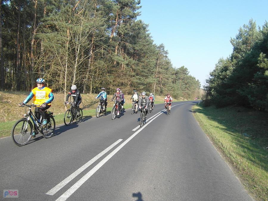 Rowerzyści na trasie - Przyłubie