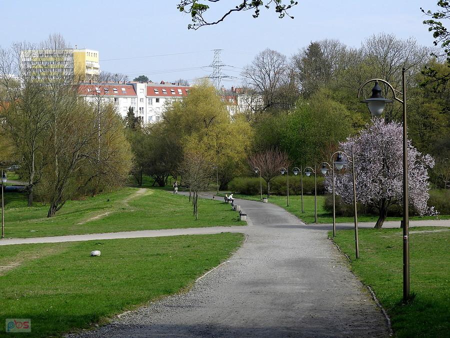 Mój ulubiony zakątek tuż przed lasem Arkońskim.