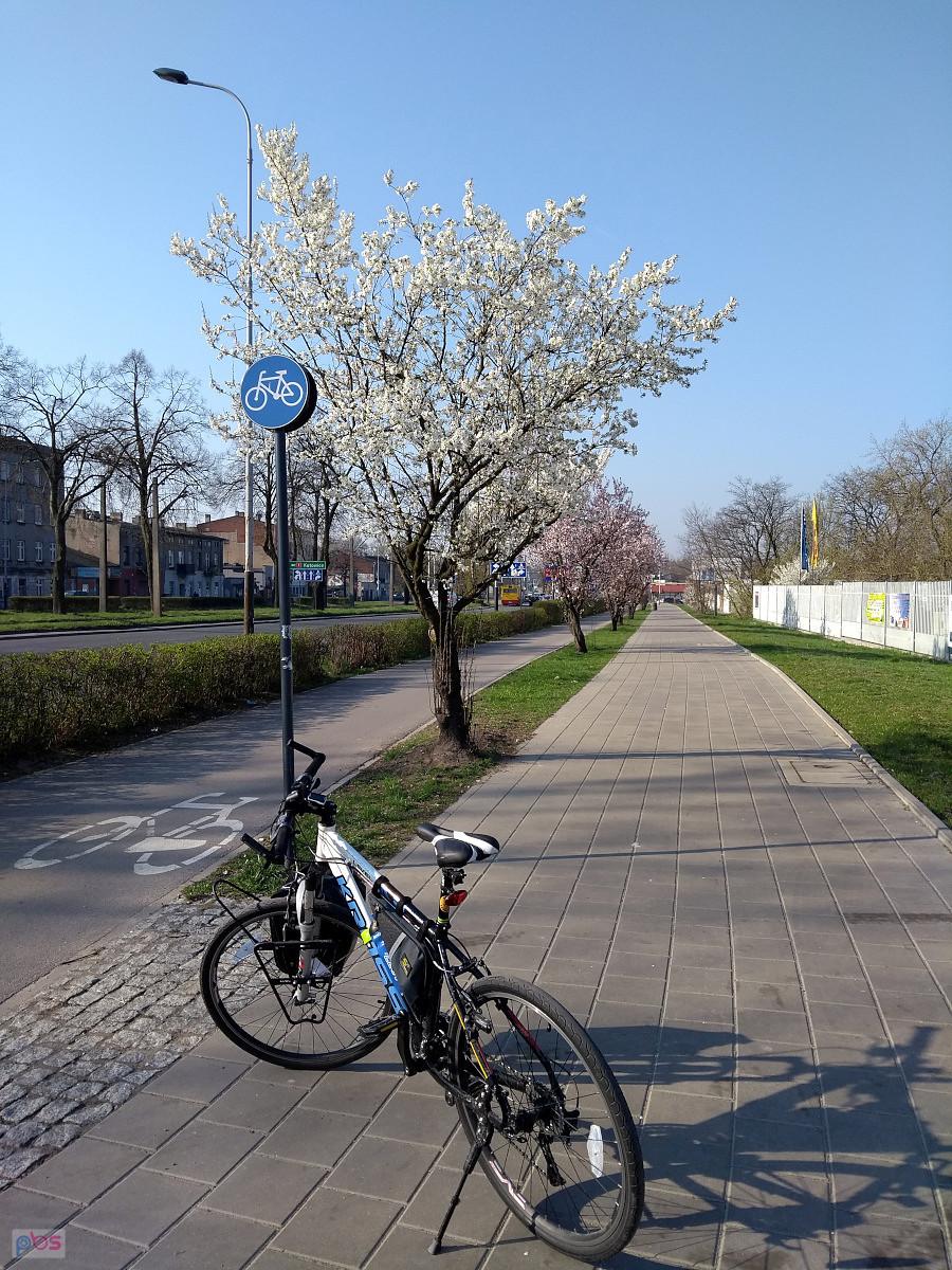 Wiosna - Łódź, ul. Pabianicka