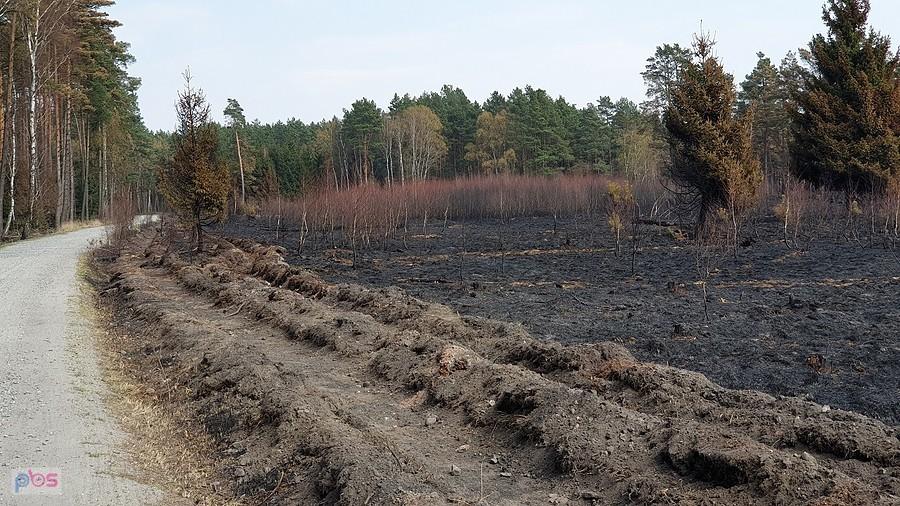 Pogorzelisko wzdłuż DP 40