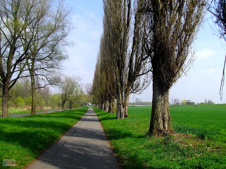 Raz asfalt,raz szutry