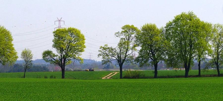 Agrobiznes - WPN