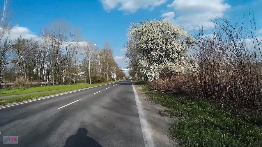 Kwitnące drzewa :)