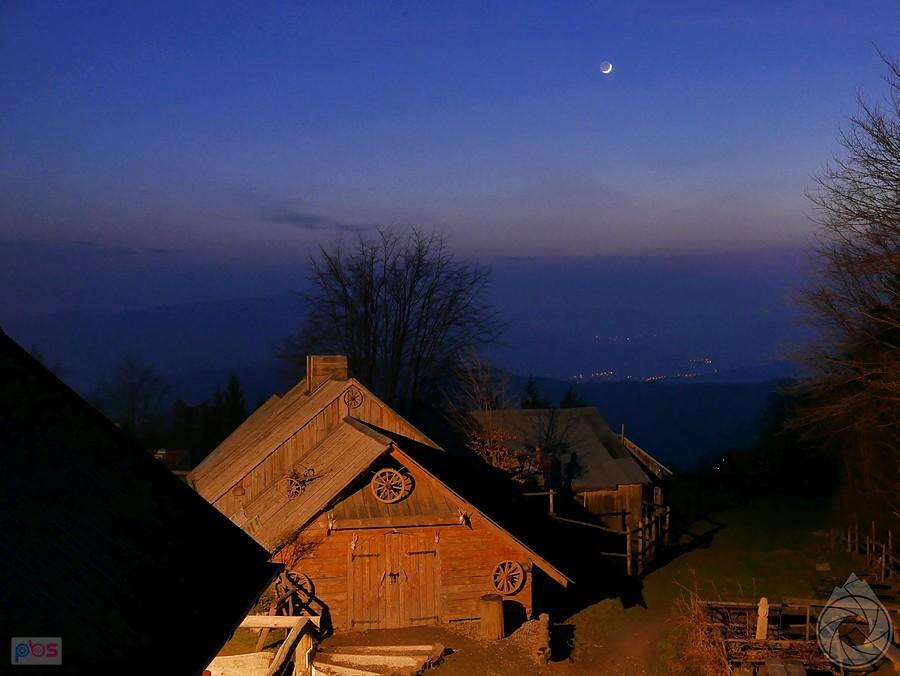 Kudłacze nocą