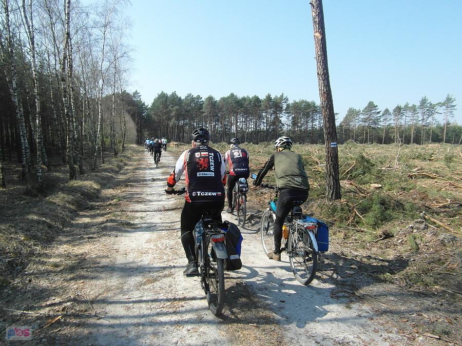 Puszcza Bydgoska