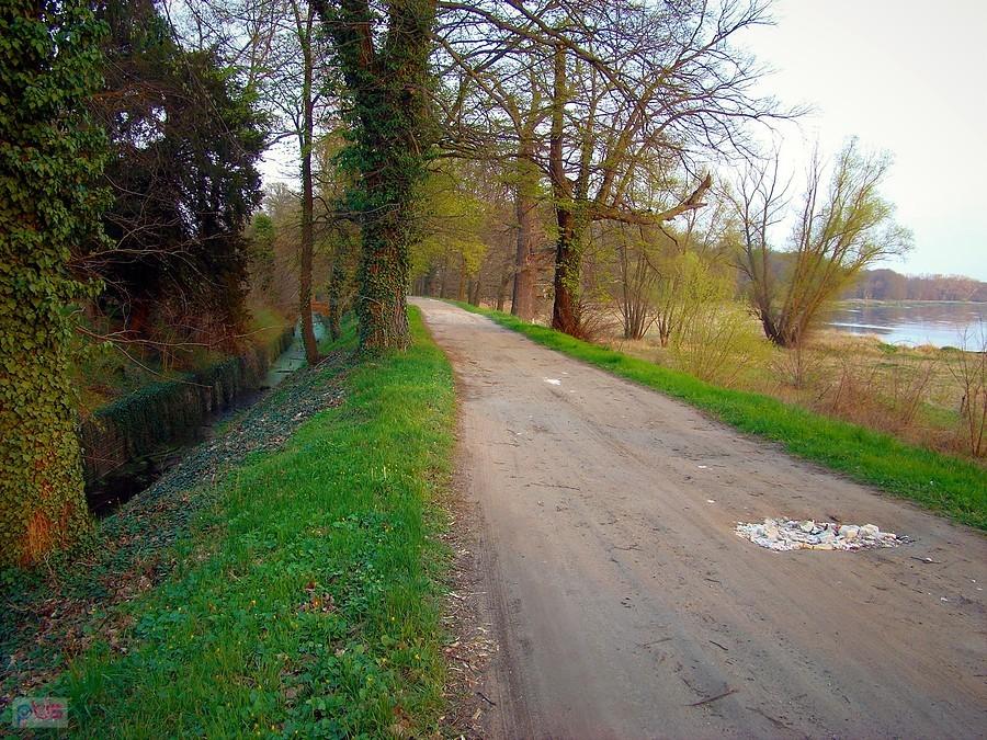 Siedlisko - kanał i wał powodziowy nad Odrą