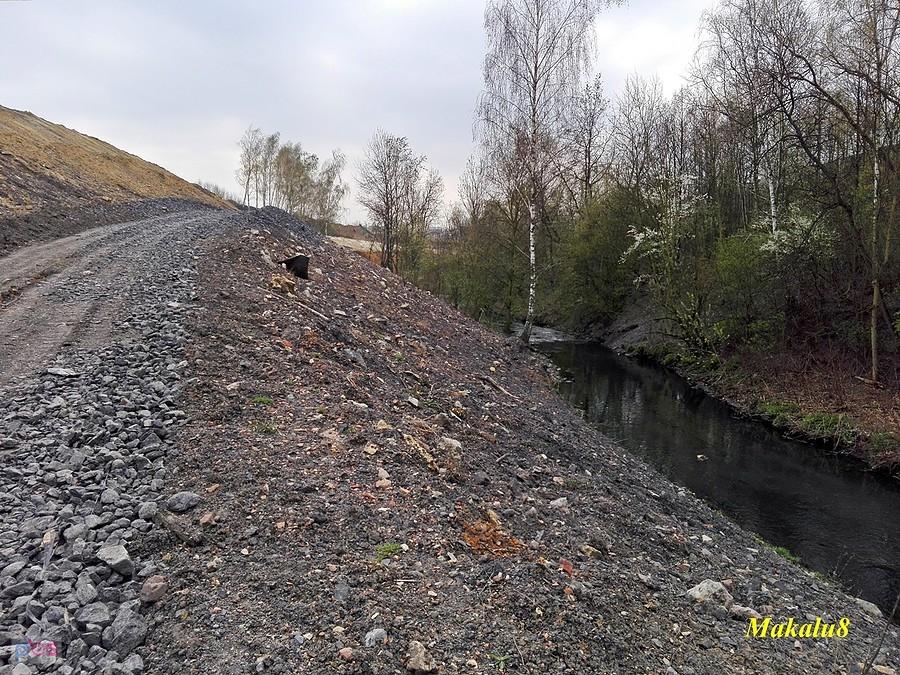 Bytomka rekultywacja