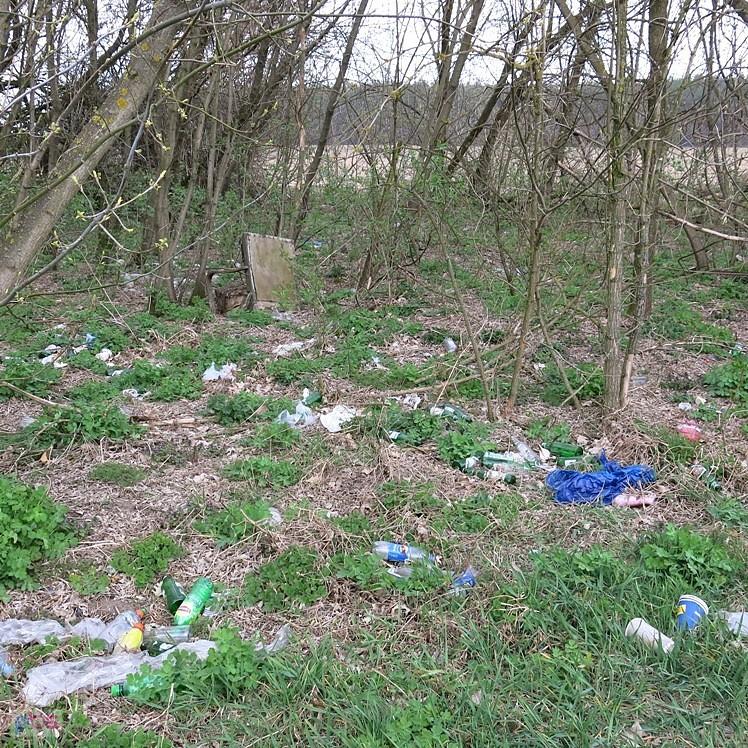 Przykry widok