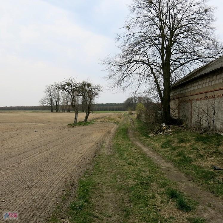 Dojazd do cmentarza ewangelickiego w Łączkowicach - PK3