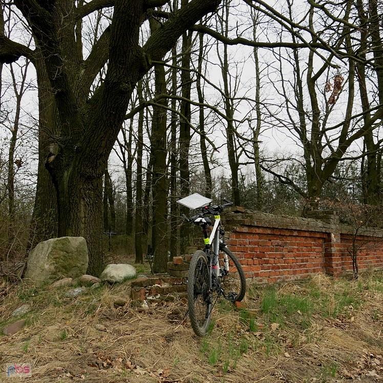 Tu także mur w ruinie