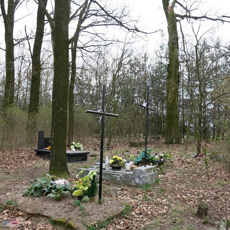 W Łączkowicach na cmentarzu widoczne są groby z kwiatami