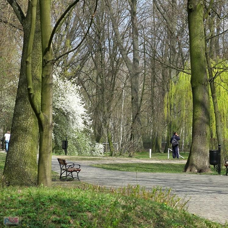 Pięknie tu pachnie