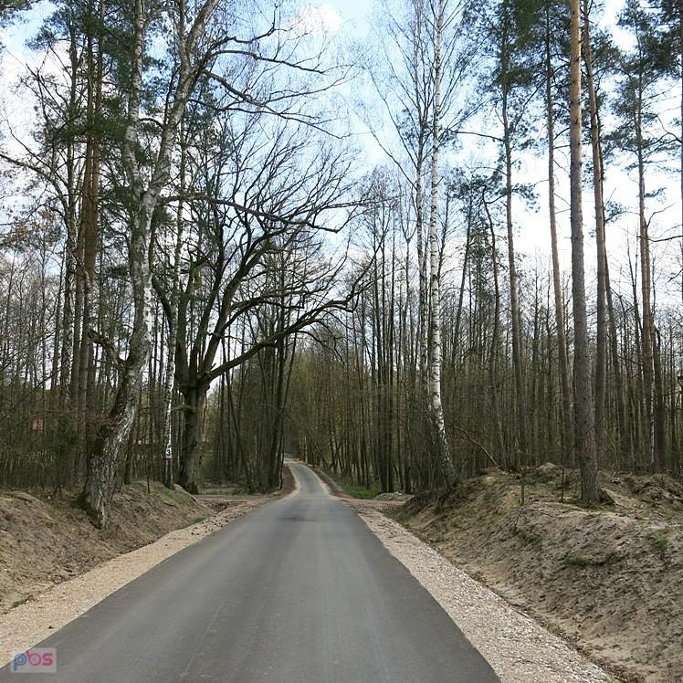 Droga przez środek lasu