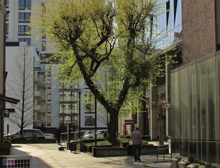 Apartamentowce na Dzielnej