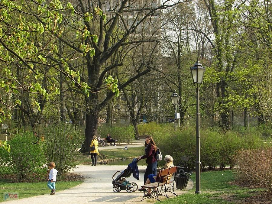 Ogród Krasińskich