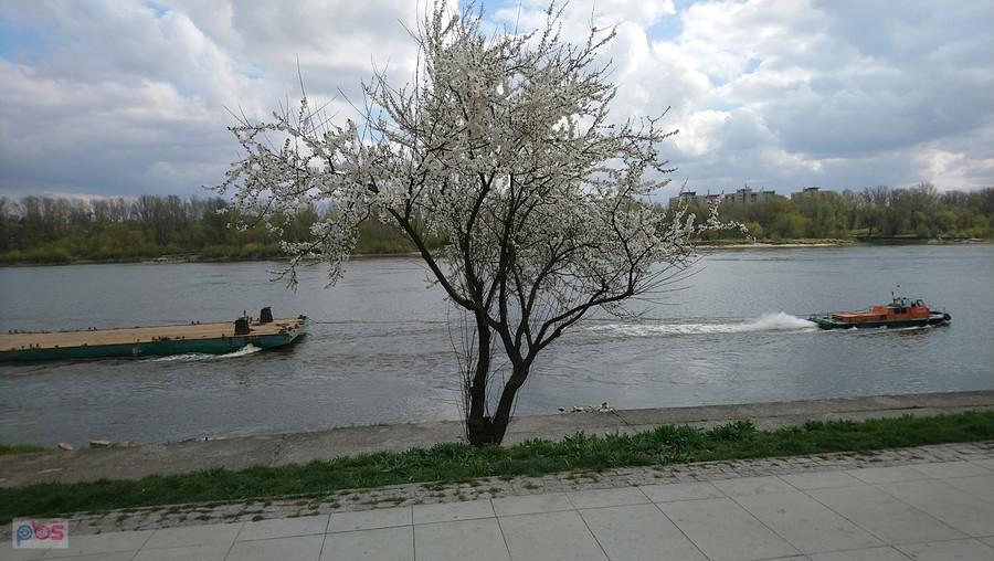 Holownik holuje