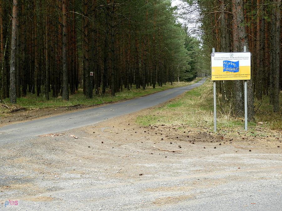 Czerwony szlak biegnie w lewo a zielony w prawo, do Trzebieży.