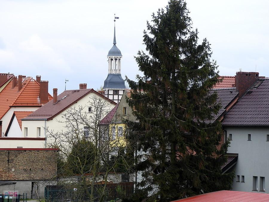 Nowe Warpno - w oddali wieża ratusza.